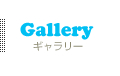 フォトギャラリー